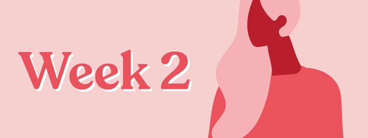 ¿Qué Esperar a Las 2 Semanas de Embarazo?