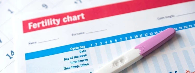 Test de ovulación para lograr el embarazo - Conoce tus días fértiles