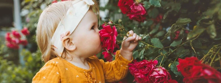 80 Baby Names That Mean Rose for Your Flower Child