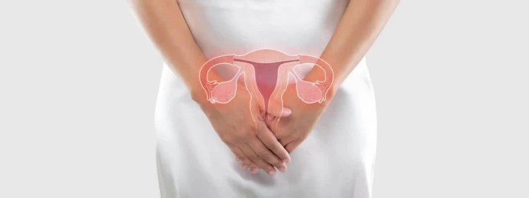 Posición del cuello uterino antes del período vs embarazada
