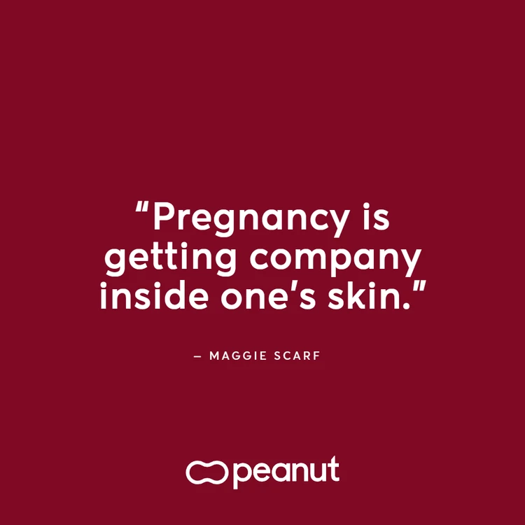 Pregnancy quotes 2