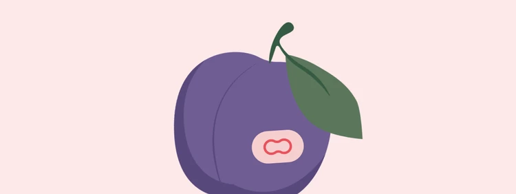 12 Weeks Pregnant: Baby is as big as a plum!