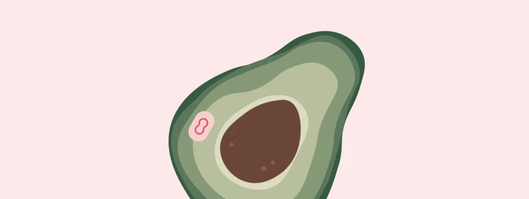 16 Weeks Pregnant: Baby is as big as an avocado!