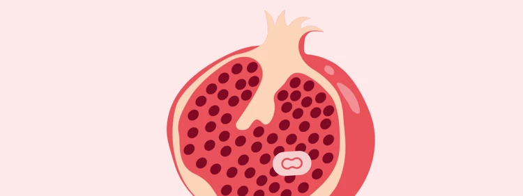 17 Weeks Pregnant: Baby is as big as a pomegranate!