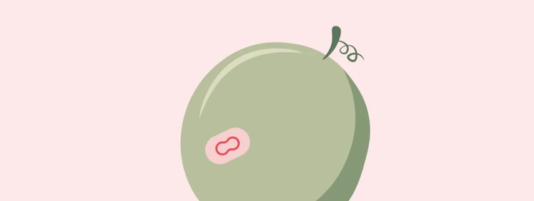24 Weeks Pregnant: Baby is as big as a cantaloupe!