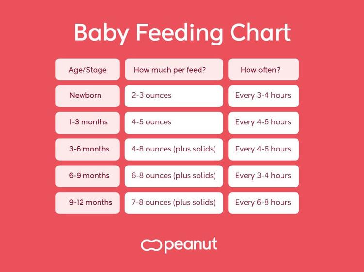 Baby feeding chart: Baby food by age guide