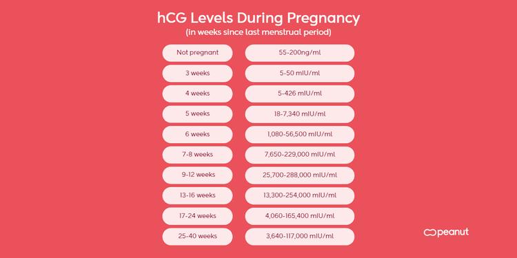 hCG Levels by Week What You Need to Know Peanut