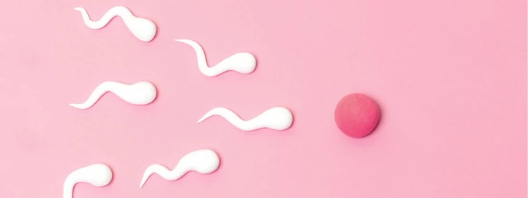Can You Get Pregnant from Swallowing Semen?
