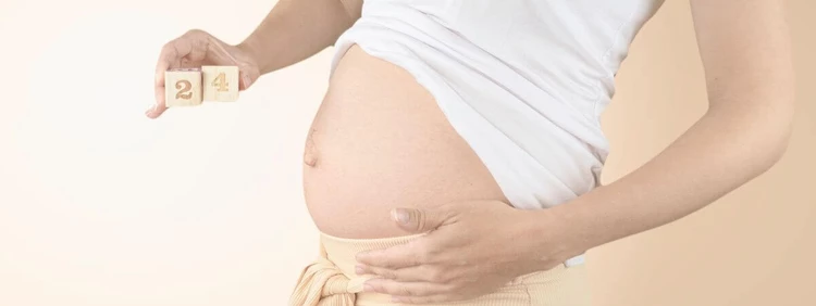24-weeks-pregnant