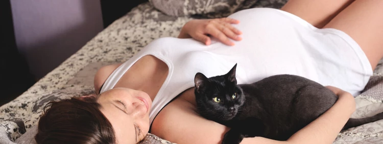 cat-and-pregnant-woman