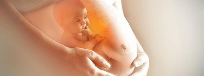 baby-in-womb