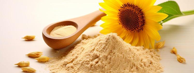 sunflower-lecithin