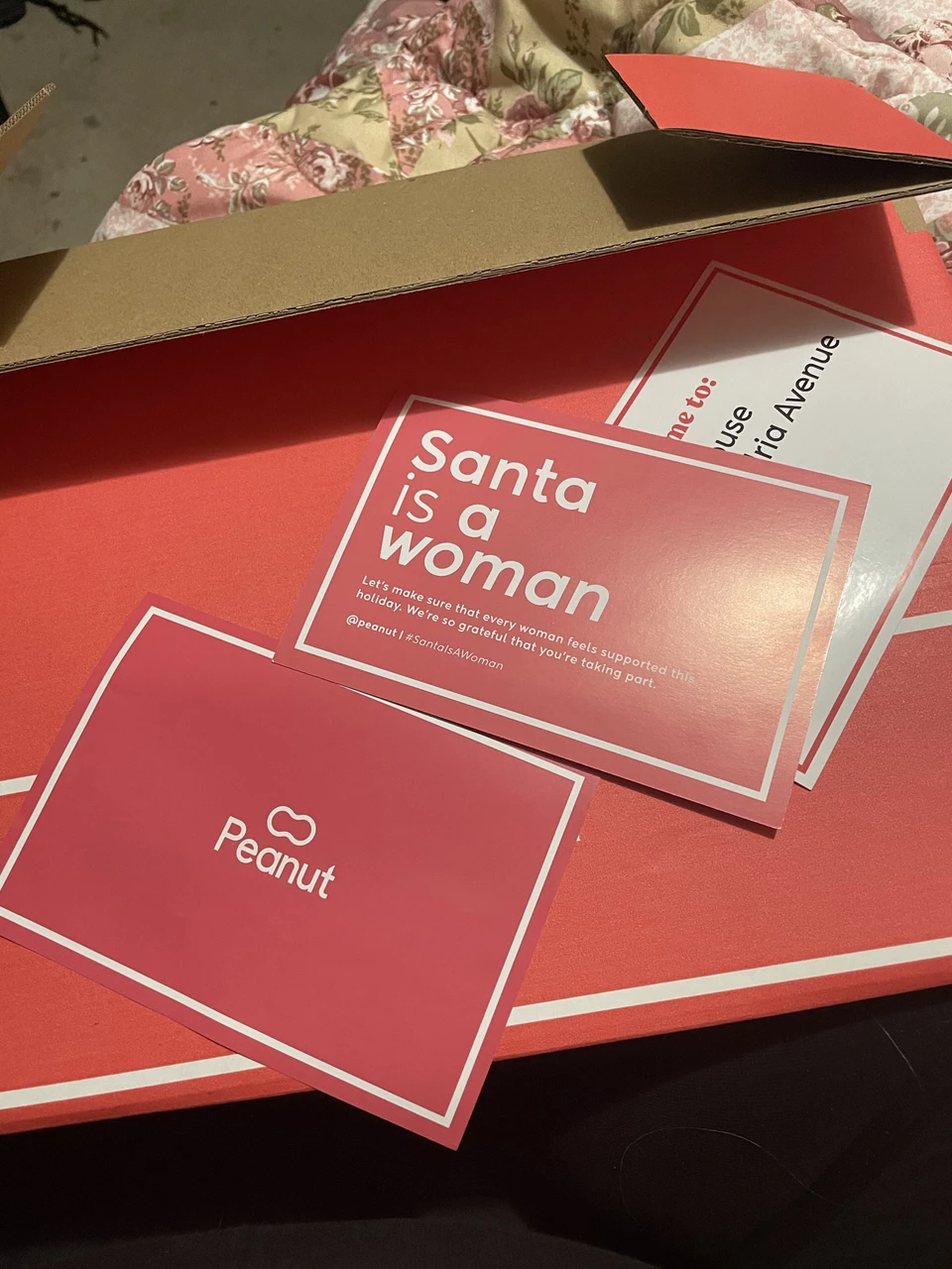 Santa is a woman box. Got it today!!